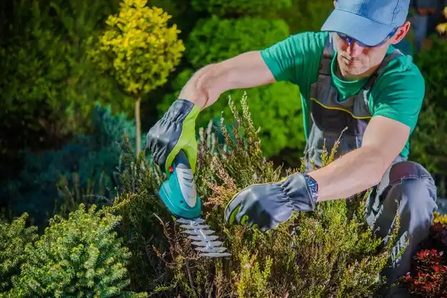 landscaping services Mount Sterling